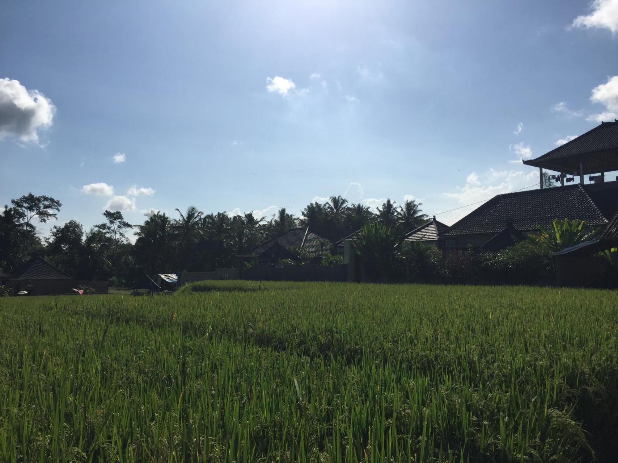 Ratna Villa Ubud Rum bild