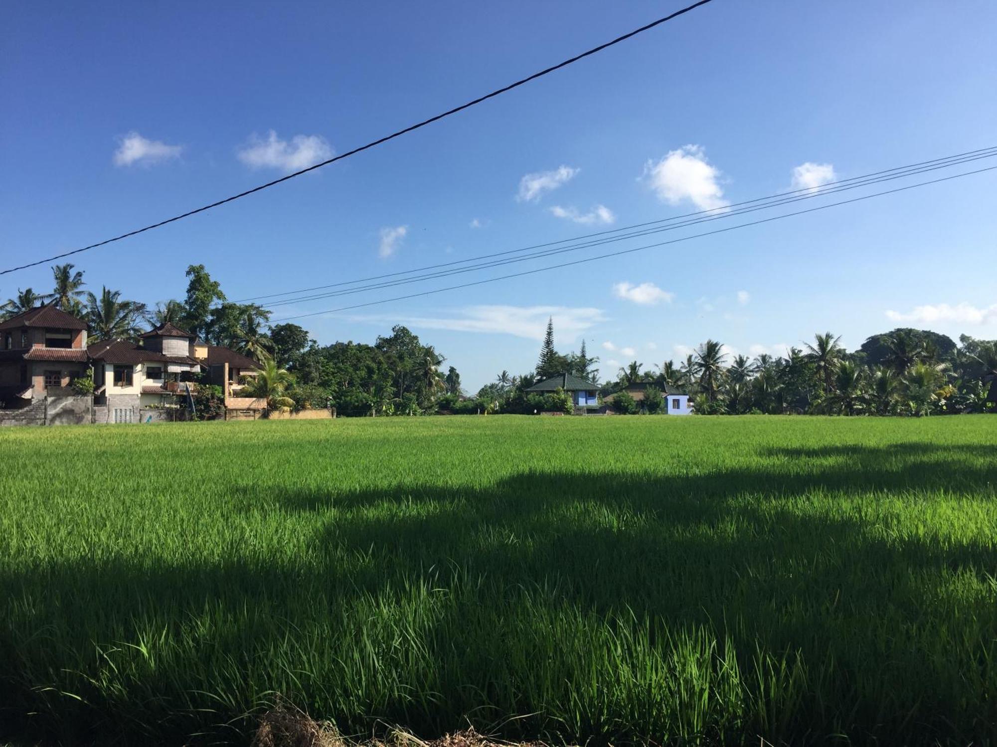 Ratna Villa Ubud Rum bild